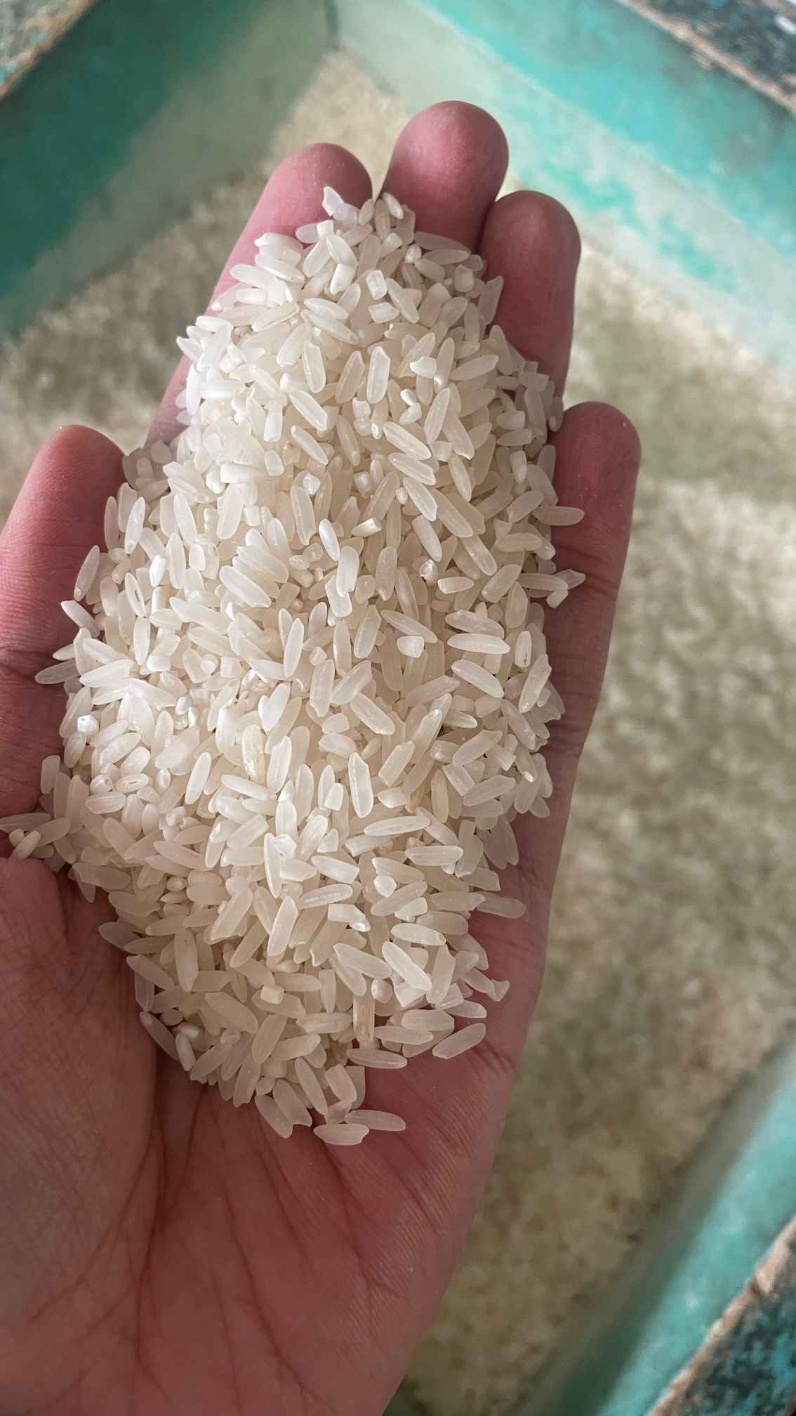 Toko 45