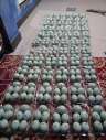 Telur Asin AZ
